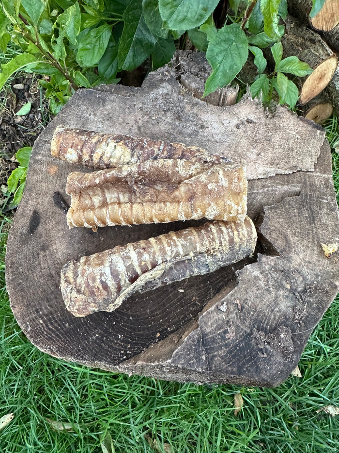 Trachée de chameau 15CM