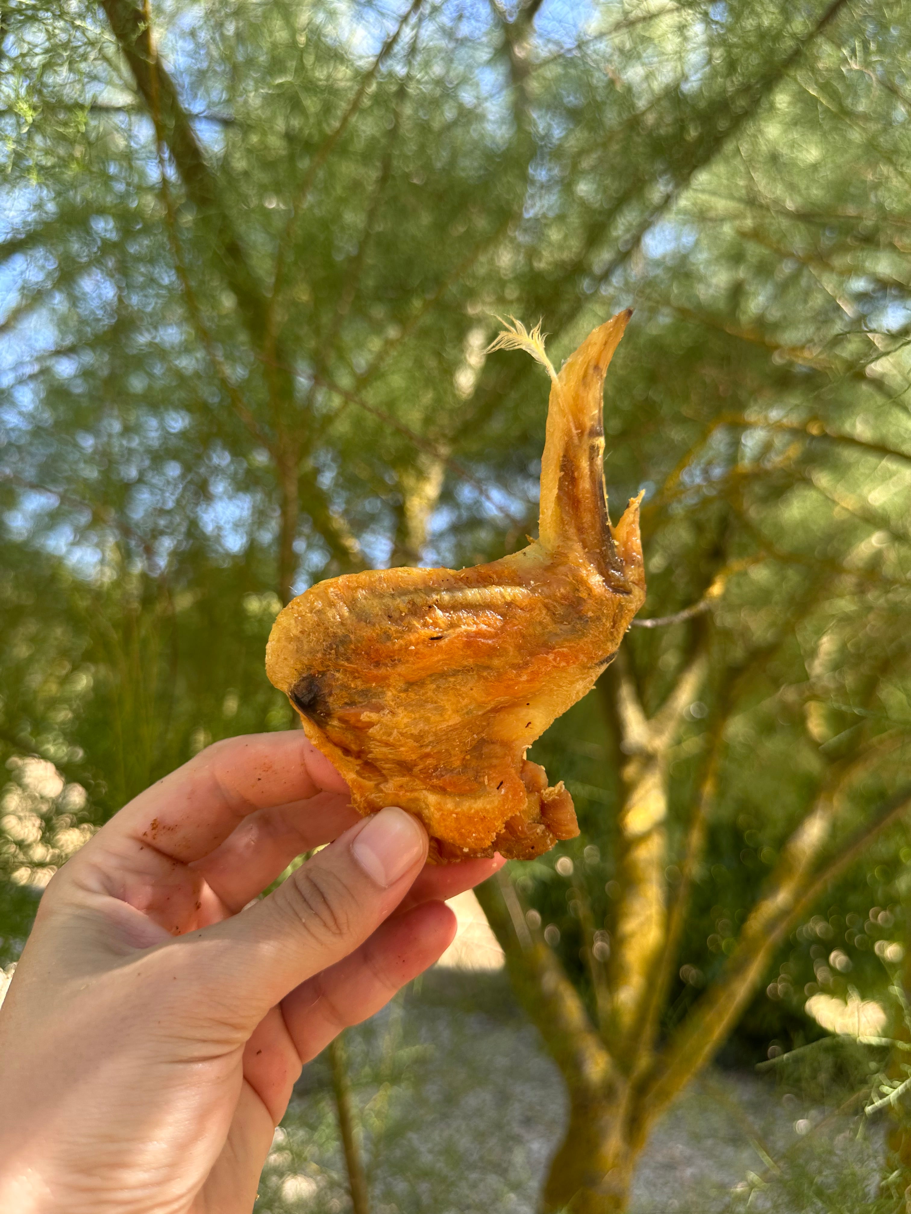 Aile de poulet entière