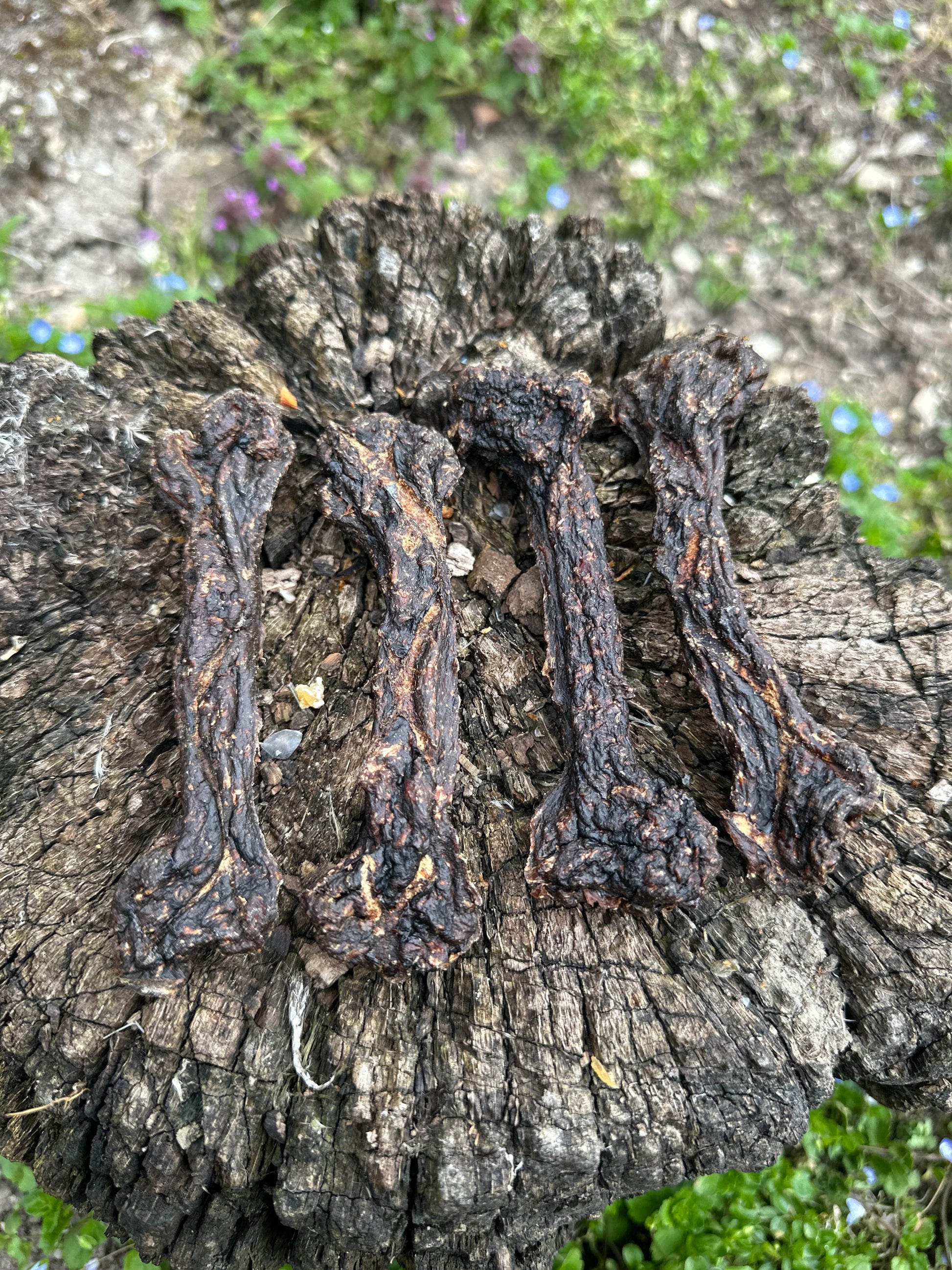 Os de viande d'autruche - Long