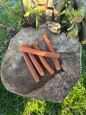 Cigare de saumon