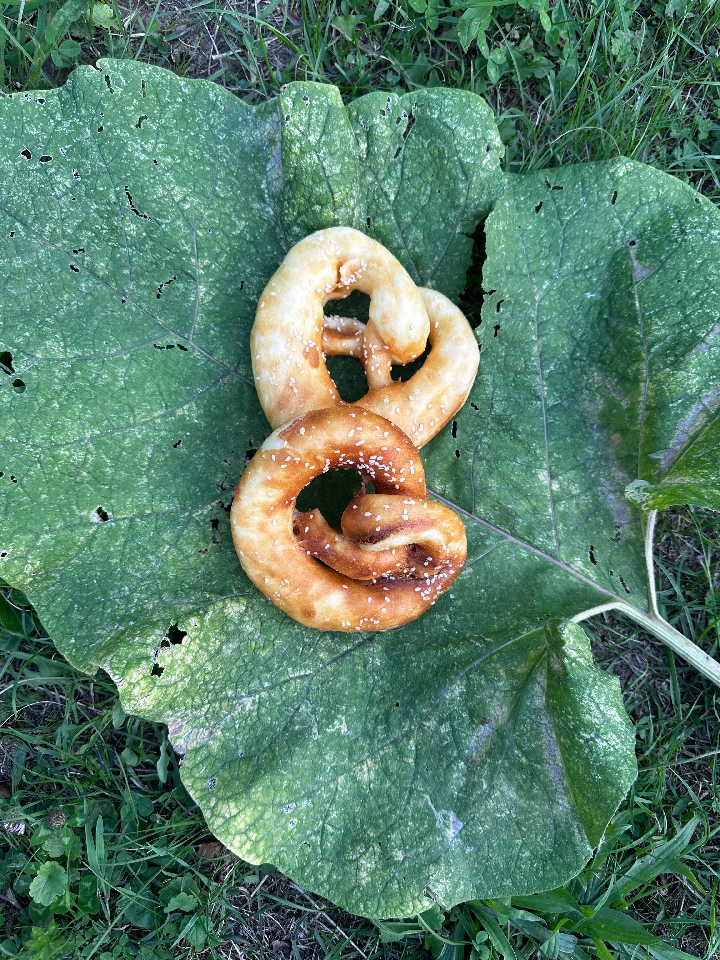 Bretzel poulet, Ø13cm