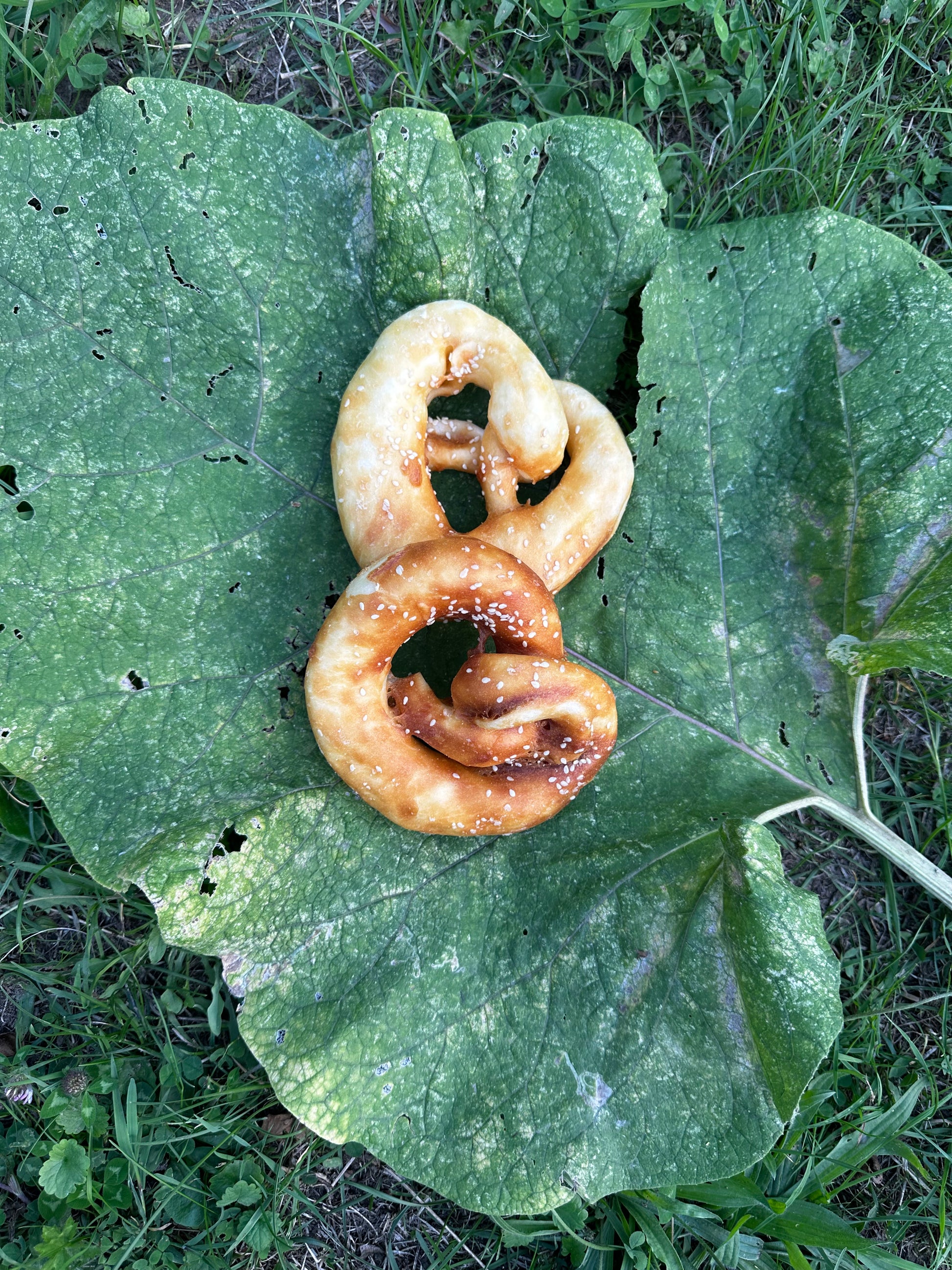 Bretzel poulet, Ø13cm