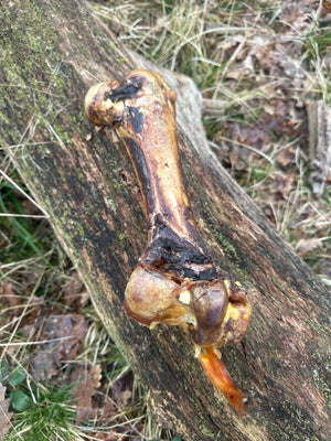 Os d'autruche simple (30cm)