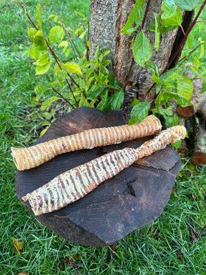 Trachée de bœuf XL 30cm
