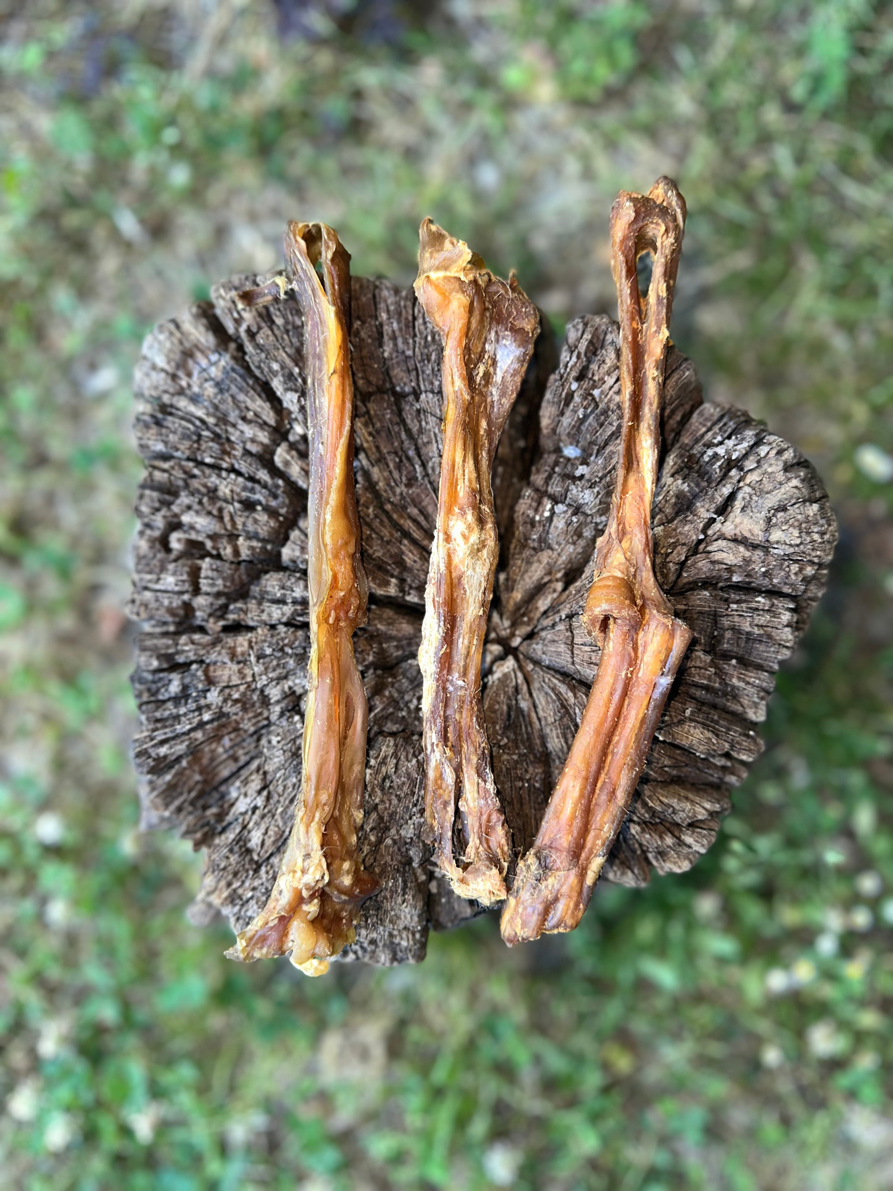 Tendon d'achille de buffle