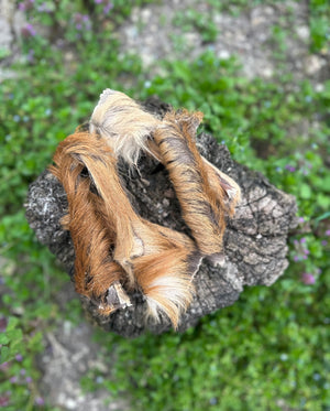 Peau de cerf avec poils