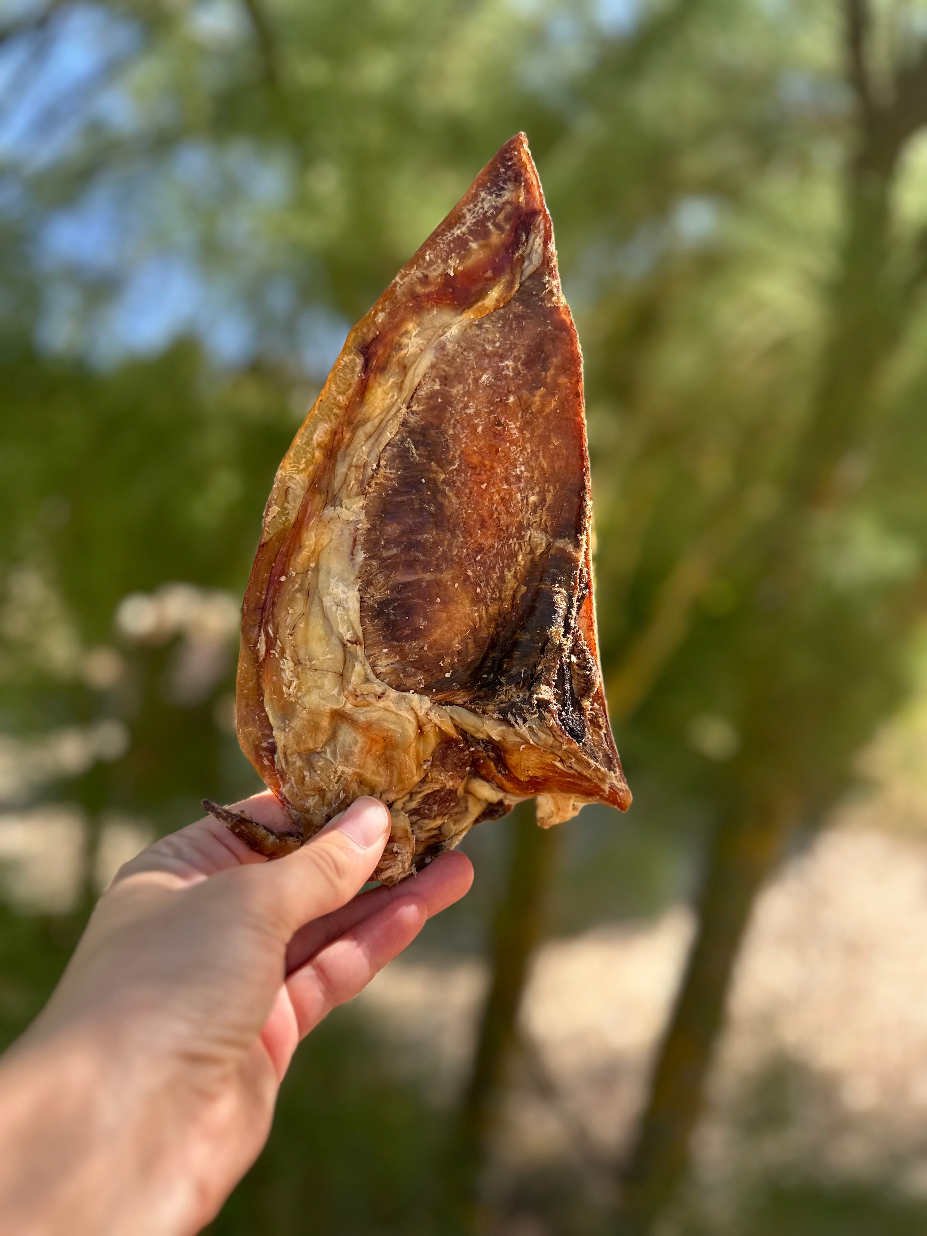 Mini omoplate de boeuf