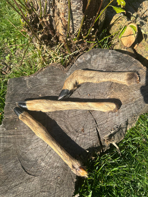 Patte de chevreuil avec poils