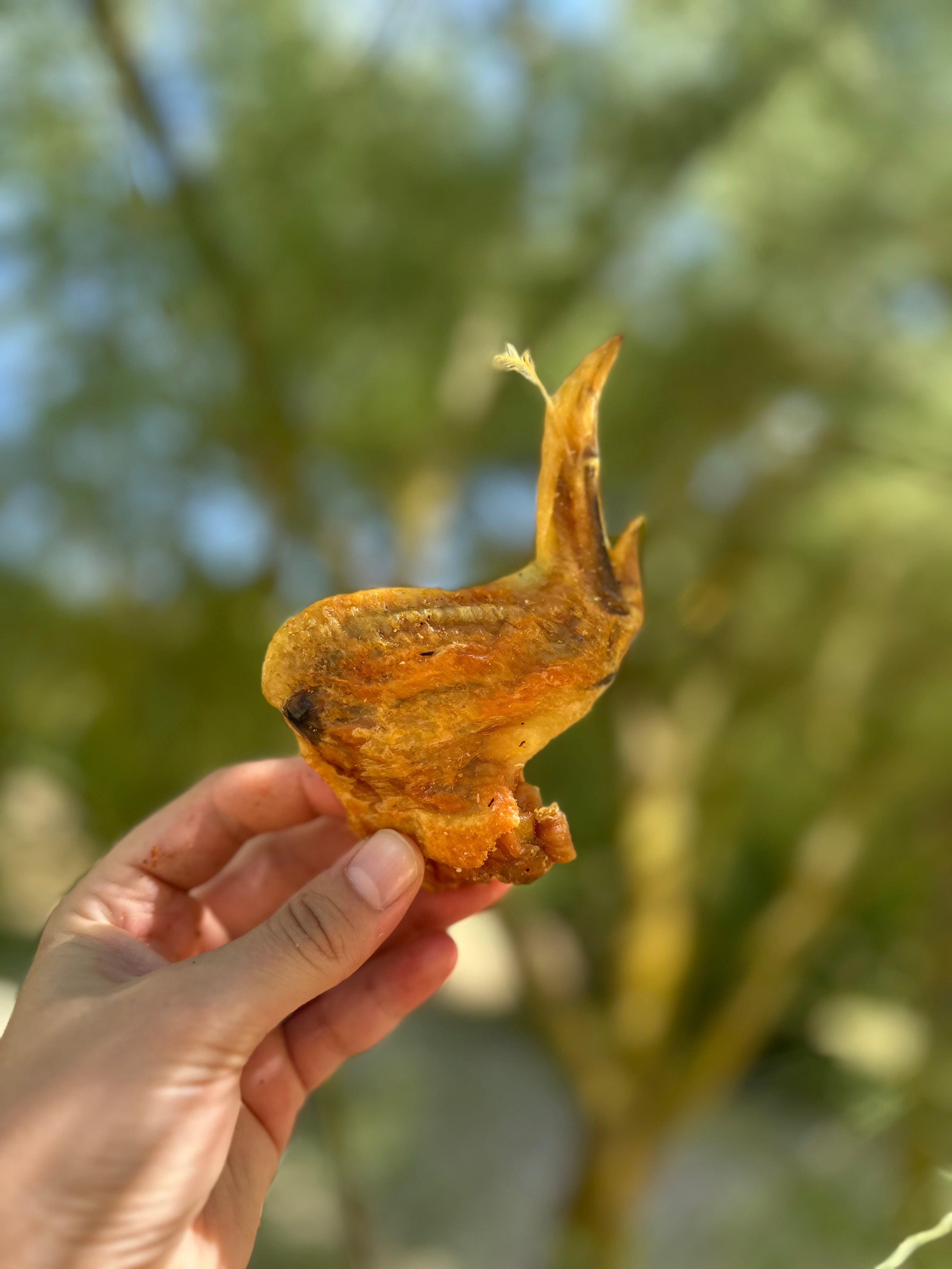 Aile de poulet entière