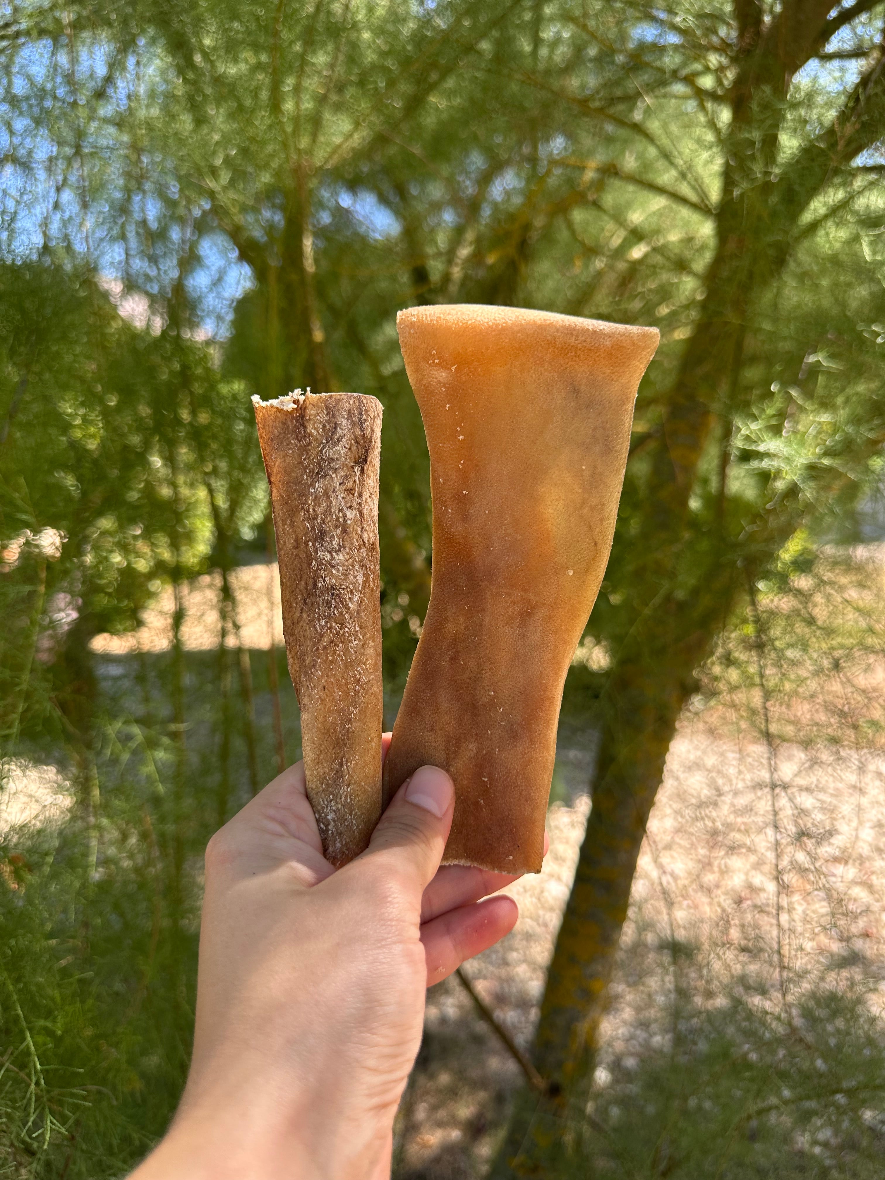 Cuir chevelu de chameau - 100g