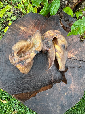 Oreille de sanglier
