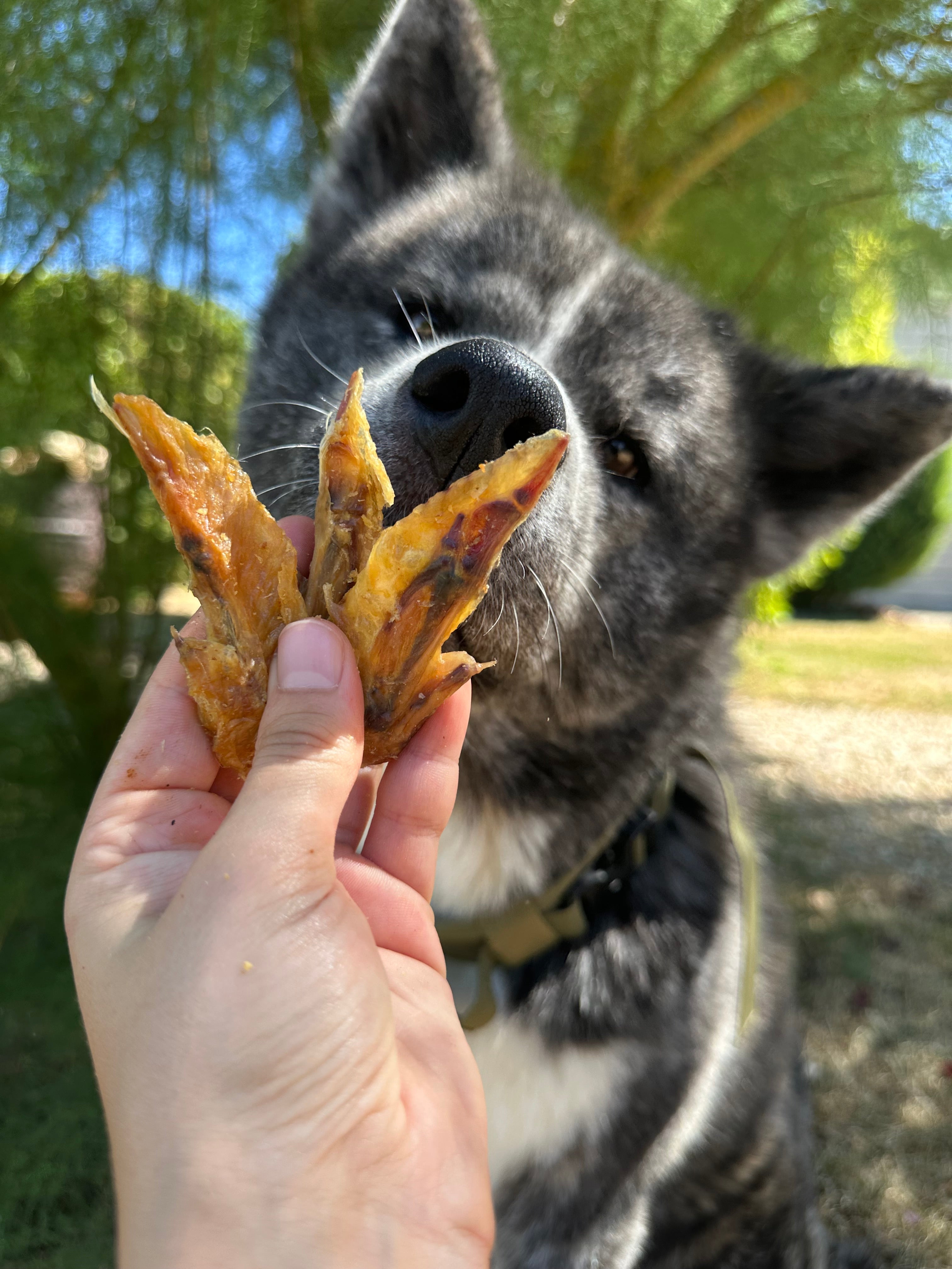 Ailes de poulet - 100g