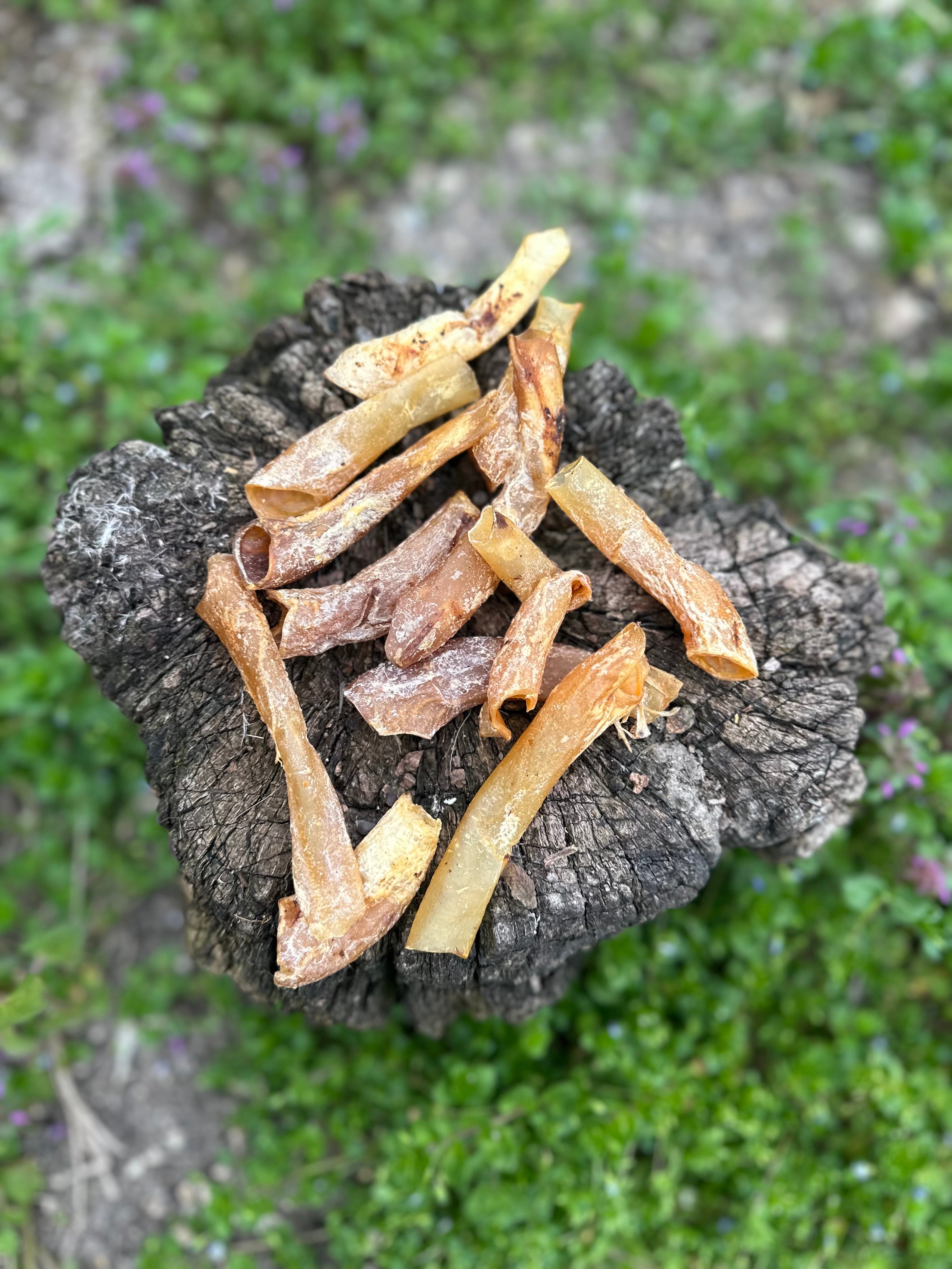 Aorte d'autruche - 100g