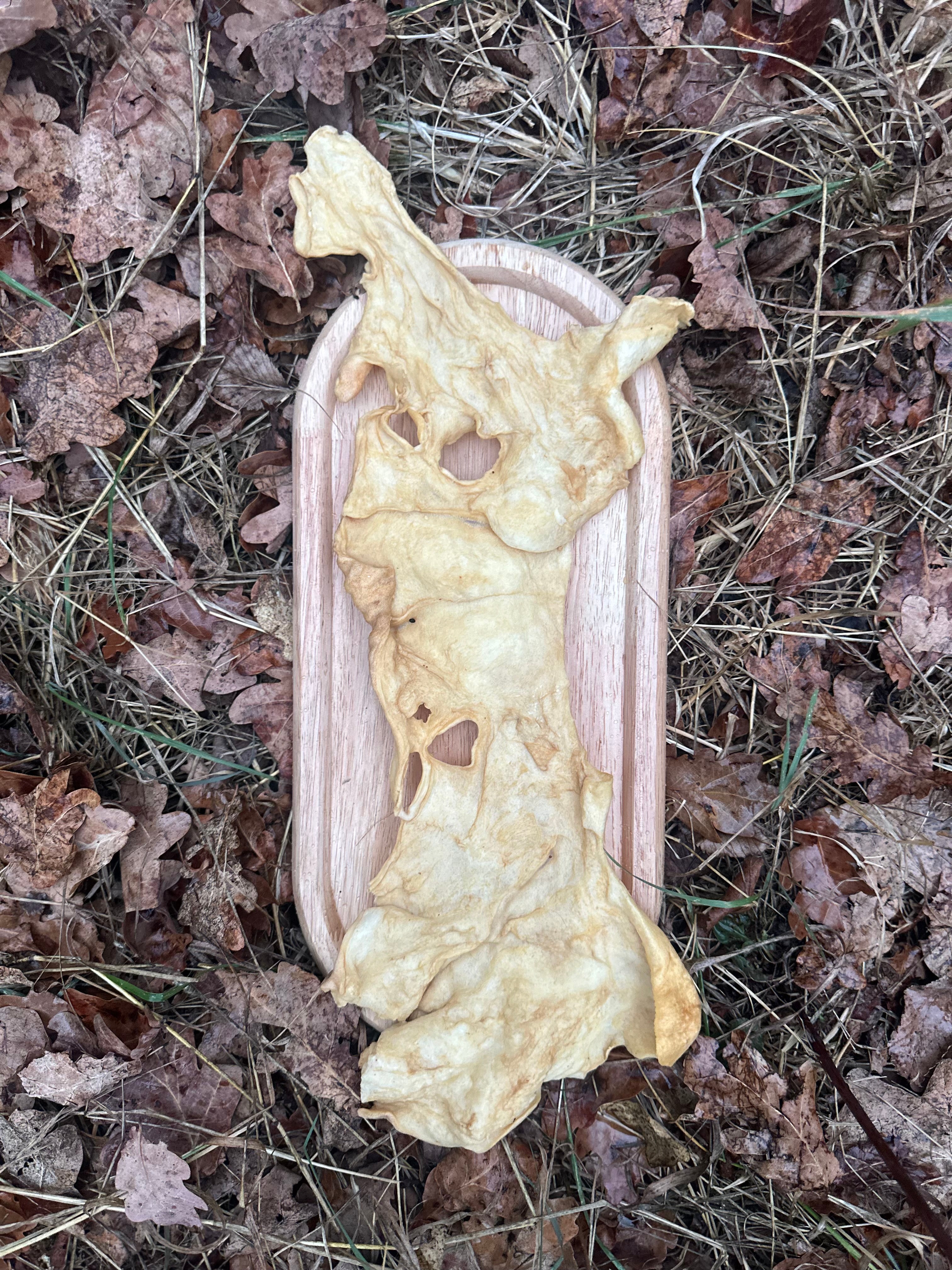 Plaque de peau de tête d'agneau