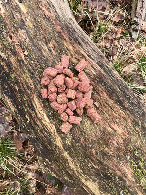 Collation aux insectes - 100g