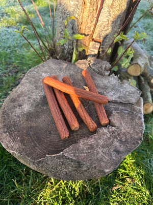 Cigare de saumon
