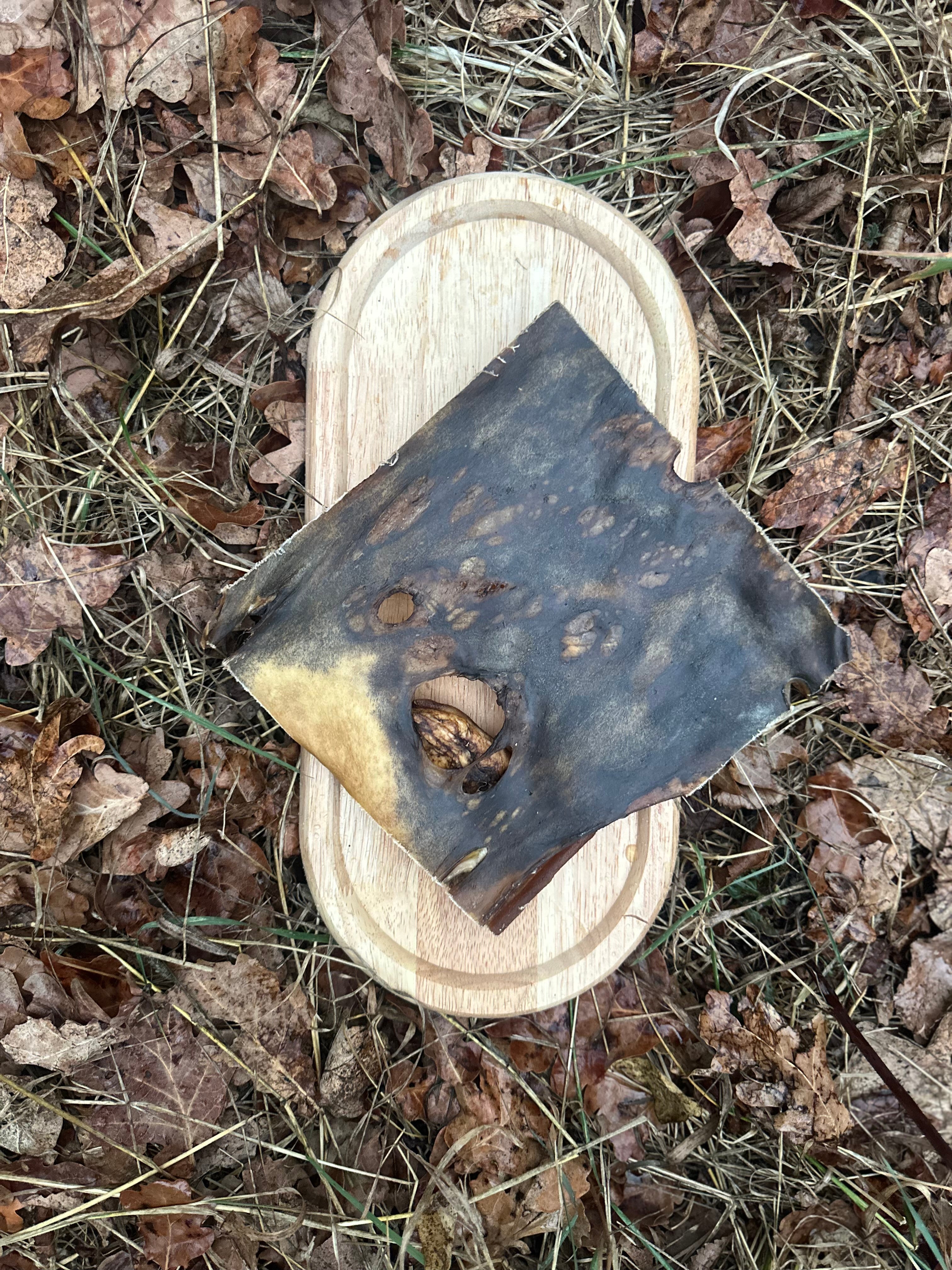 Plaque de peau de boeuf