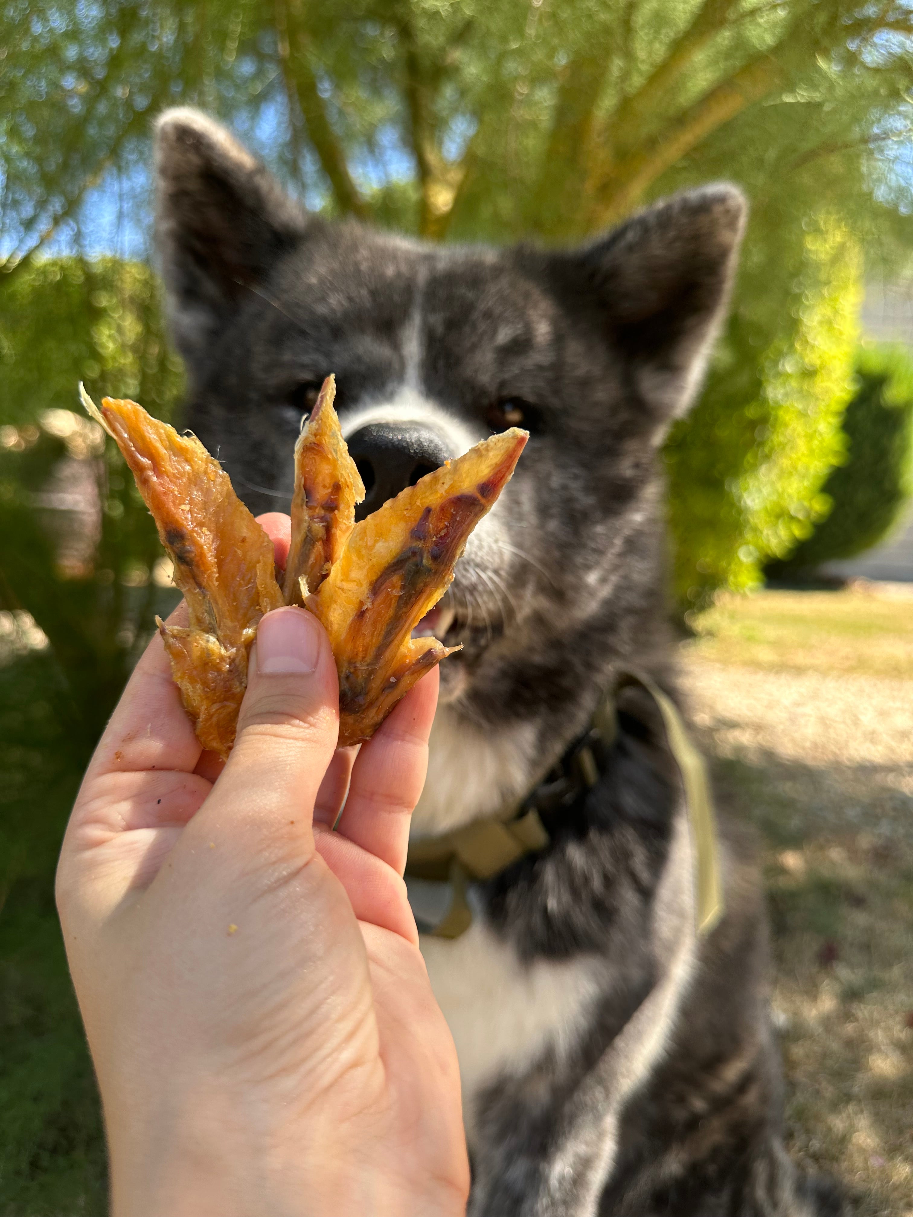 Ailes de poulet - 100g