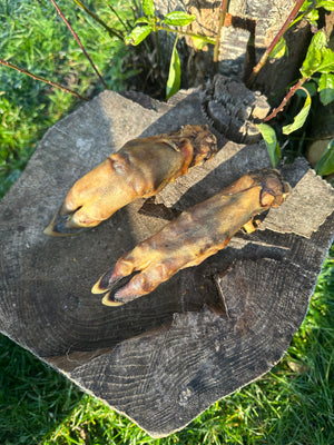 Pied de sanglier