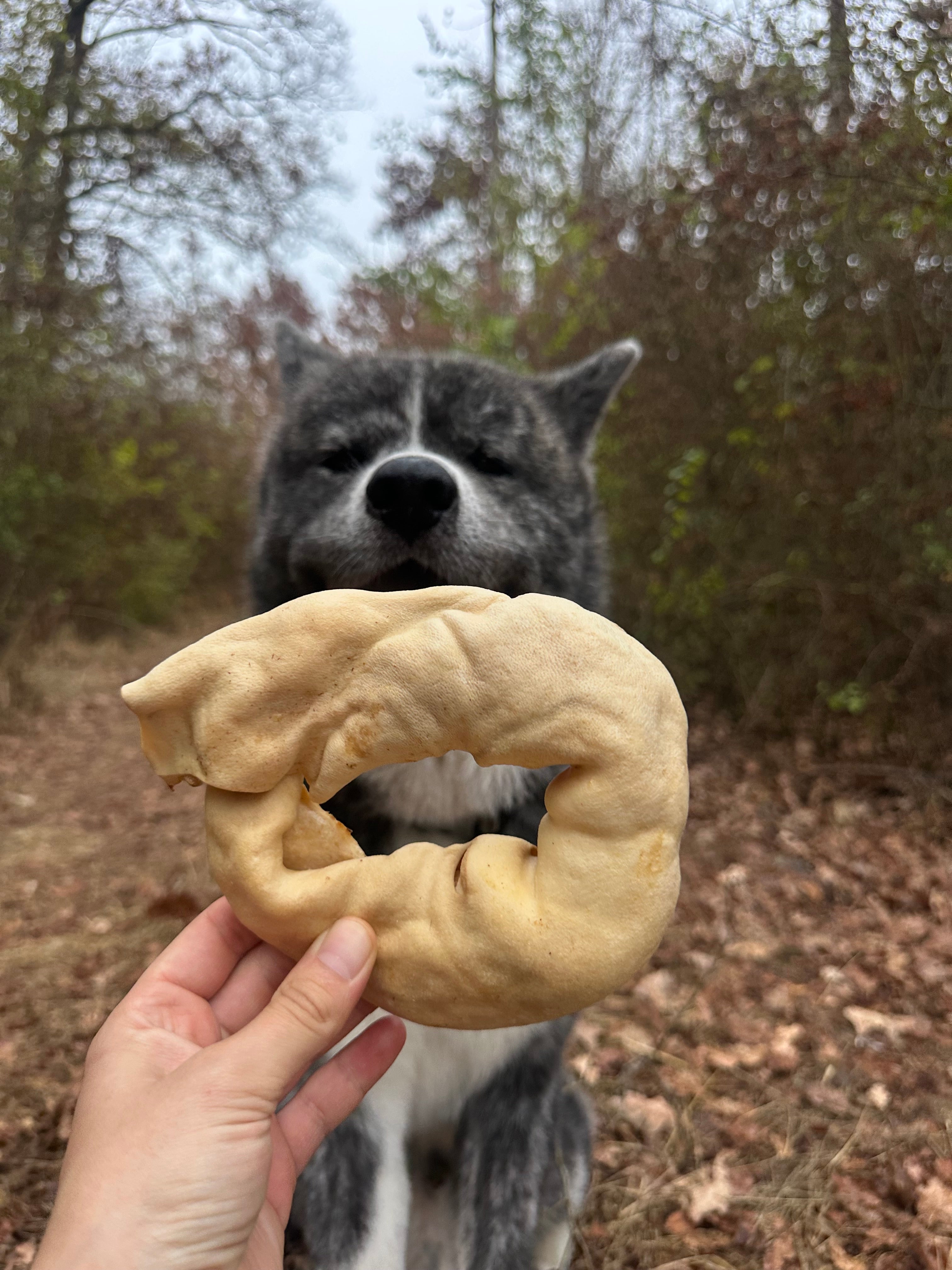 Donut de peau de chèvre
