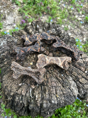 Os de viande d'autruche - Court