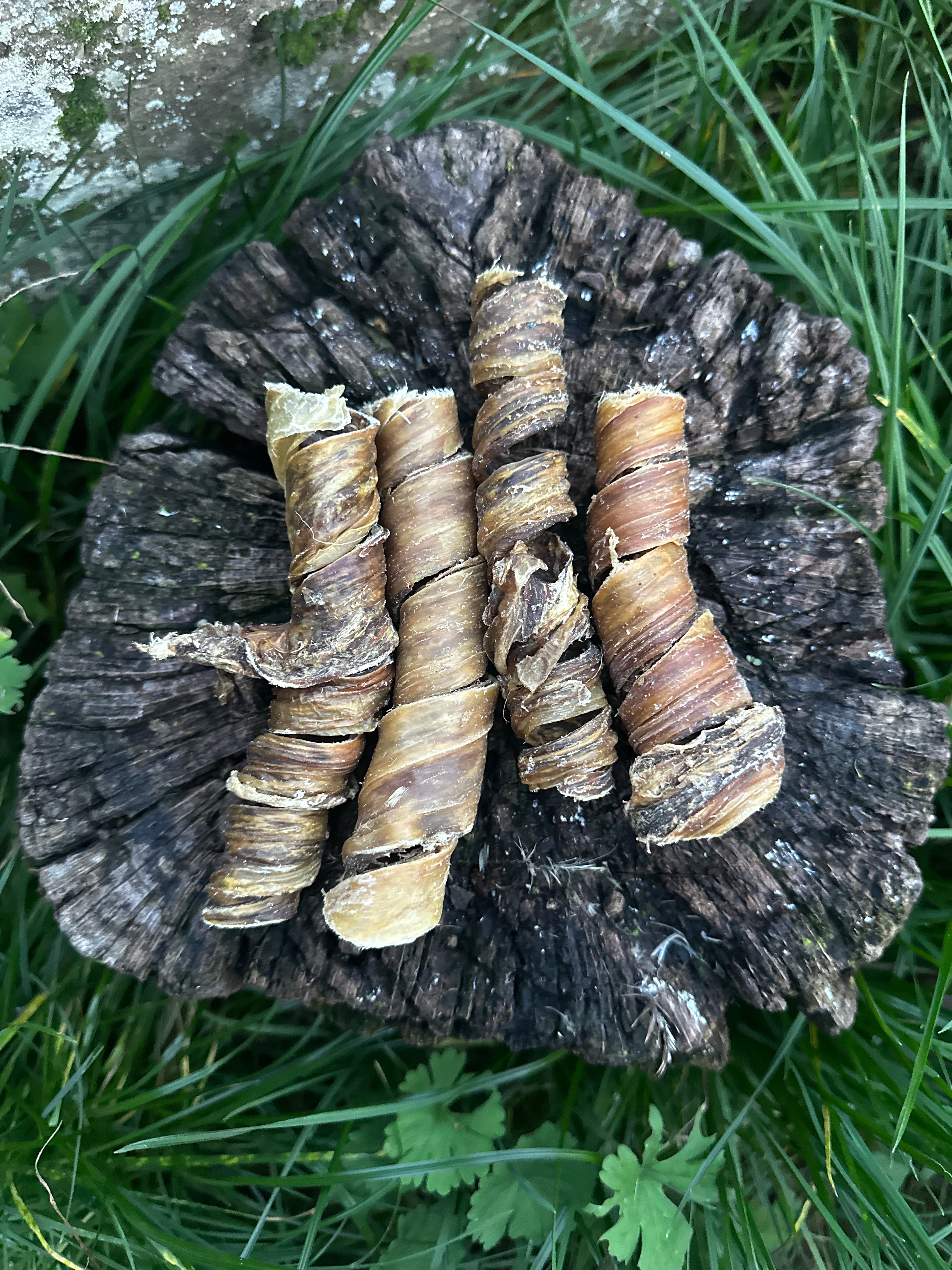 Boeuf séché torsadé