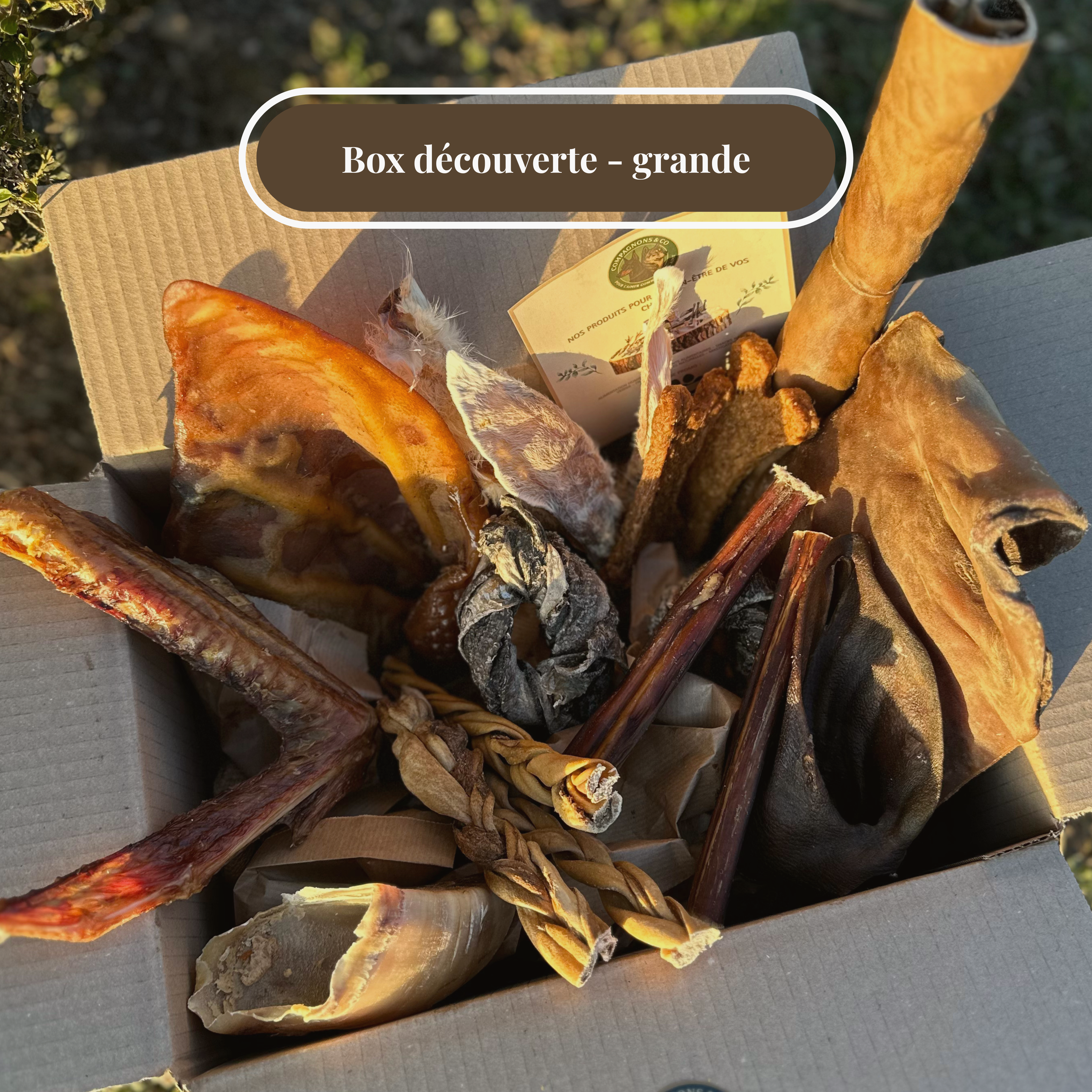 Box découverte - Grande