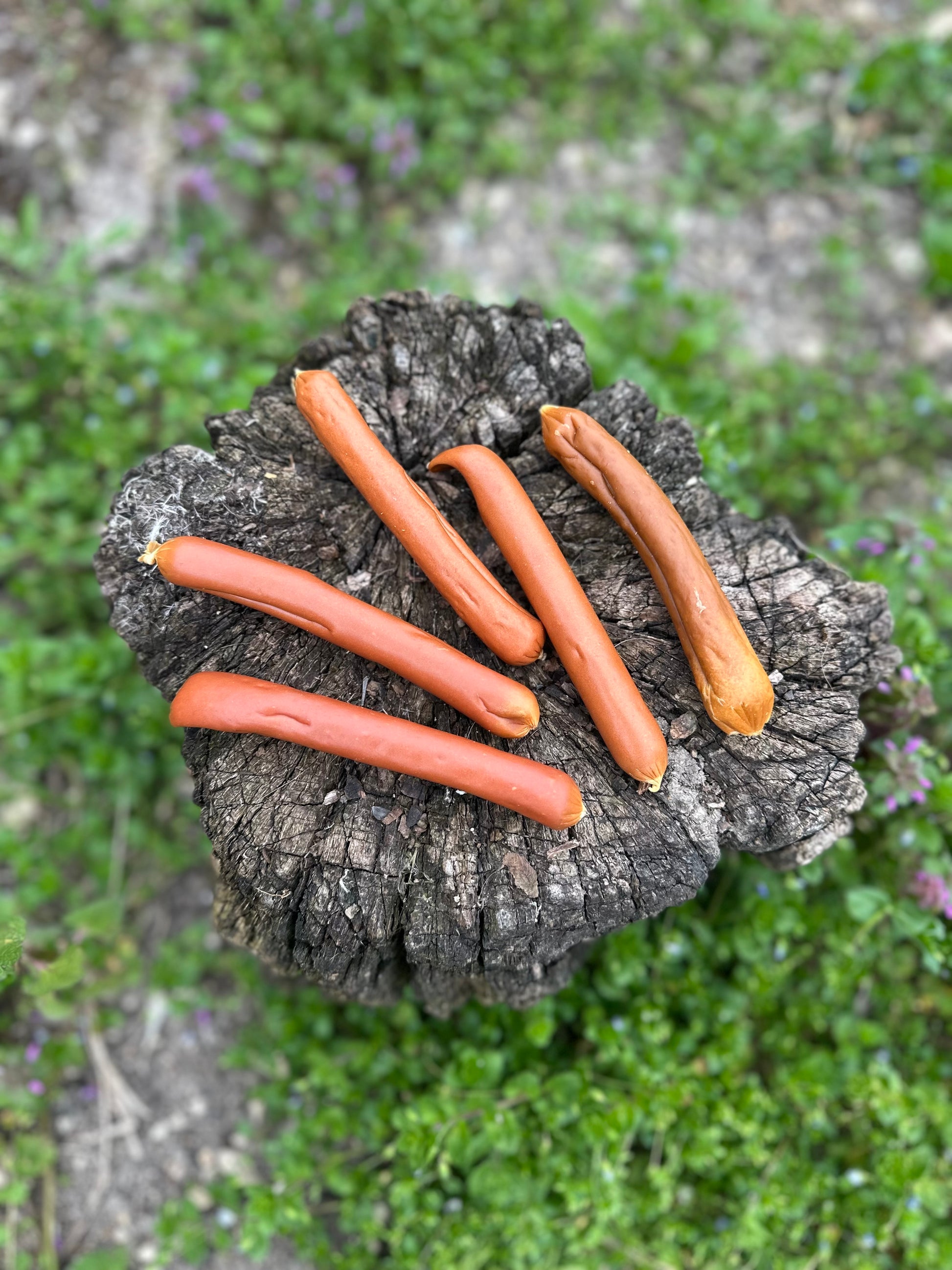 Saucisse de saumon