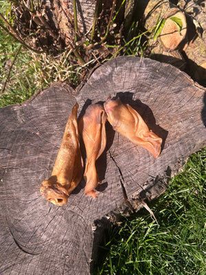 Oreille de veau