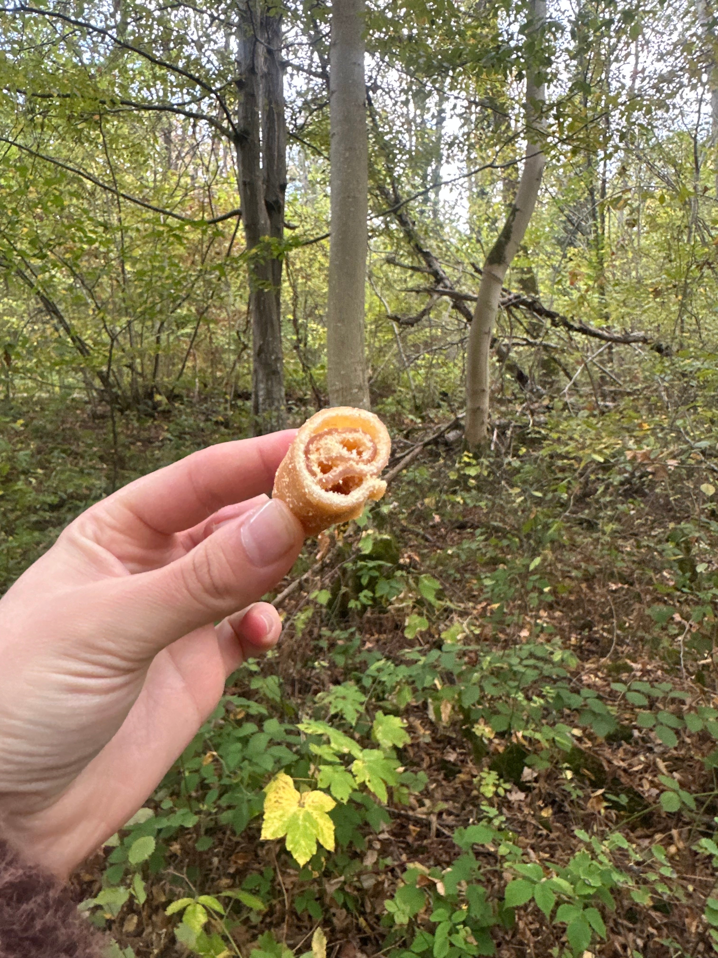 Mini roulée de porc - lot de 10