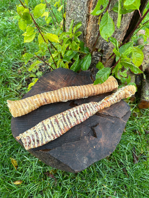 Trachée de bœuf XL 30cm