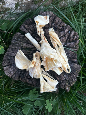 Cuir chevelu de chèvre - 100g