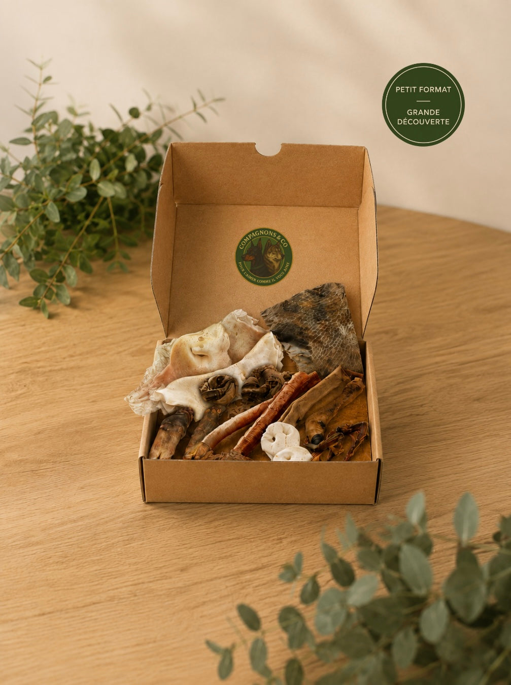Box découverte - Petite