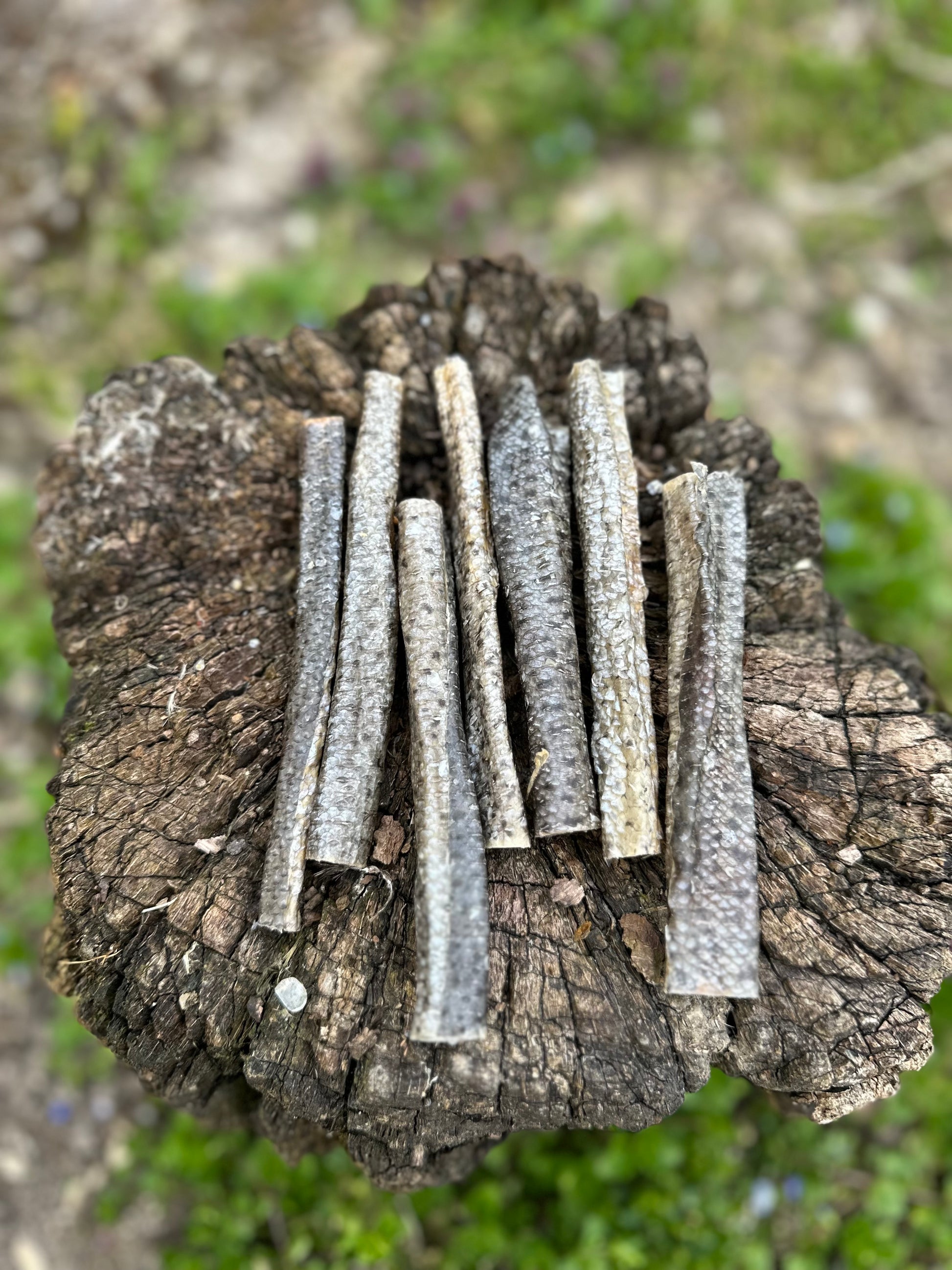 Rouleau de peau de truite saumonée