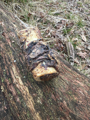 Os à moelle de boeuf enrobés de poumon