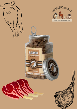 Friandises Kiwi Walker lyophilisées 100% agneau