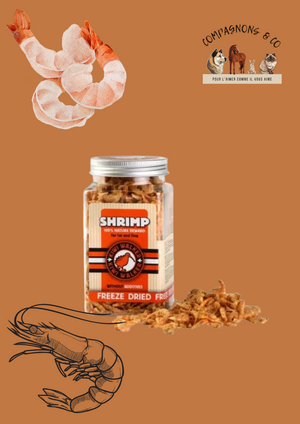 Friandises Kiwi Walker lyophilisées 100% crevette