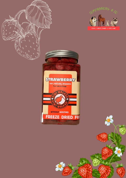 Friandises lyophilisées 100% fraise