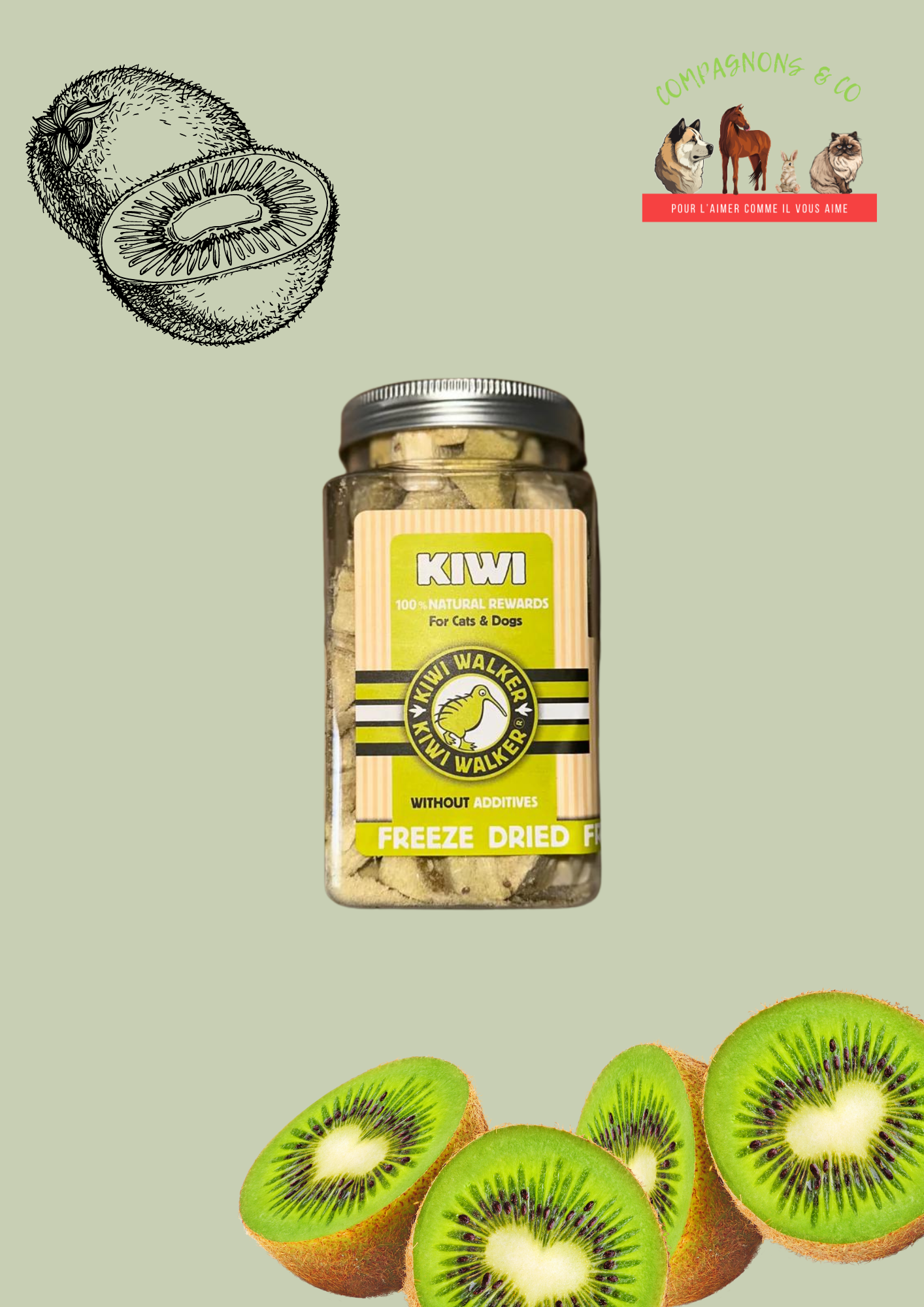 Friandises Kiwi Walker lyophilisées 100% kiwi