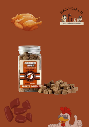 Friandises Kiwi Walker lyophilisées 100% foie de poulet