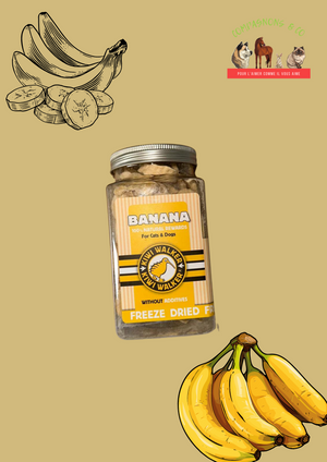Friandises Kiwi Walker lyophilisées 100% banane