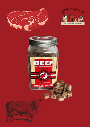 Friandises Kiwi Walker lyophilisées 100% bœuf