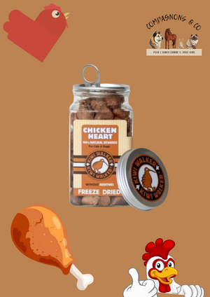 Friandises Kiwi Walker lyophilisées 100% cœur de poulet