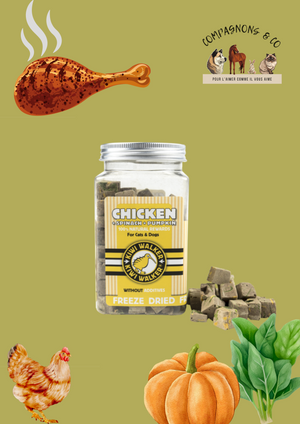 Friandises Kiwi Walker lyophilisées 100% poulet/épinards/potiron