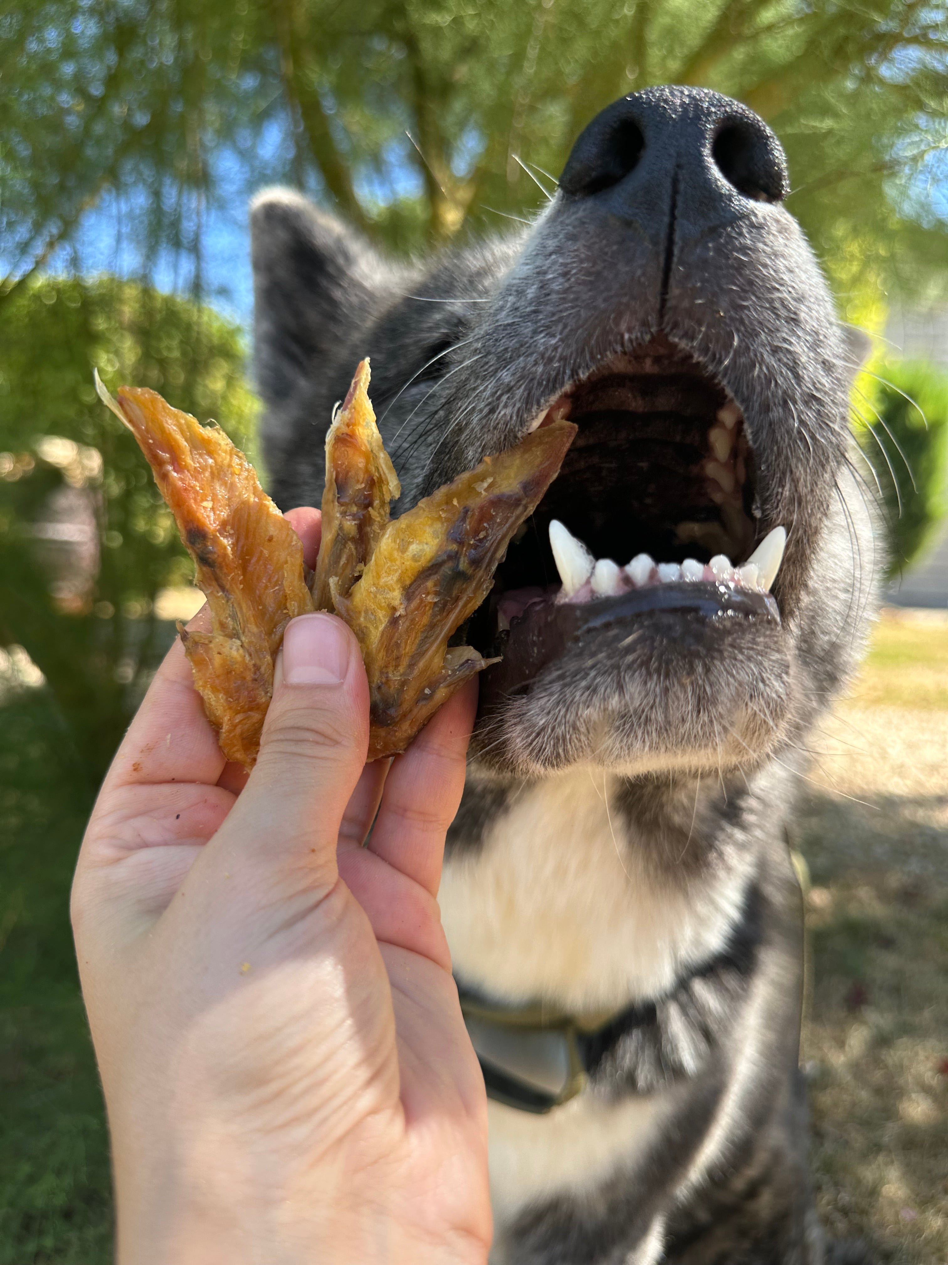 Ailes de poulet - 100g