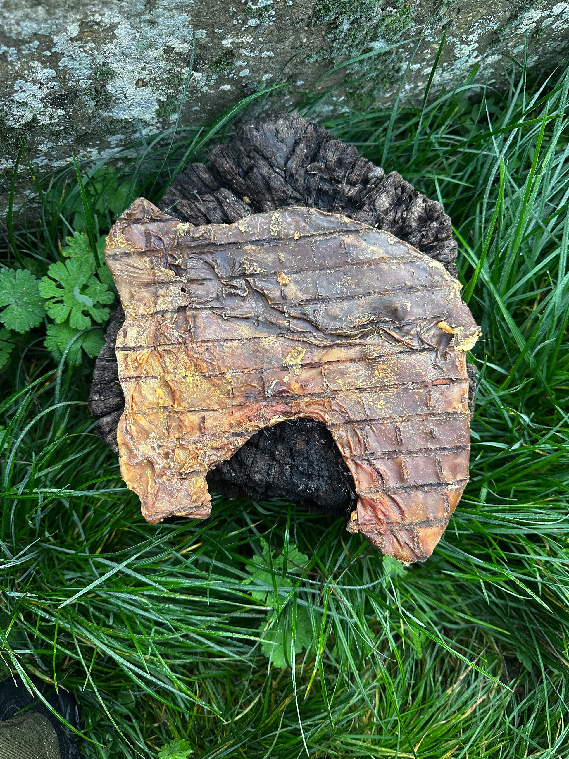 Estomac de porc plat