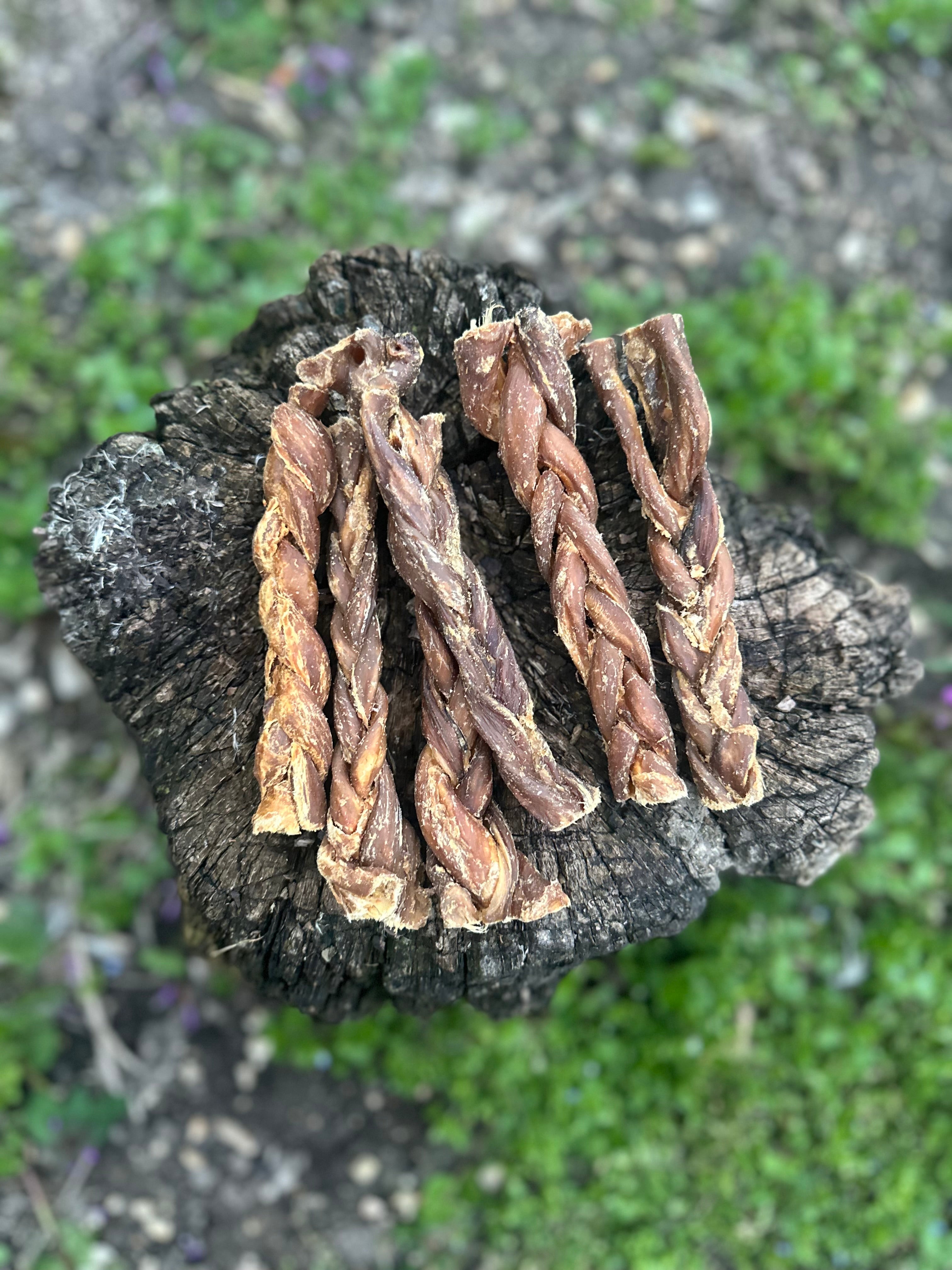 Œsophage d'agneau tressée 15CM