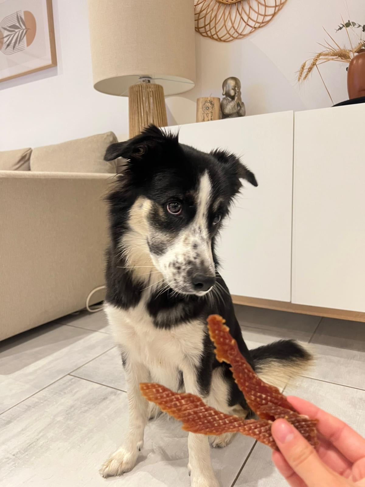 Filet de canard - 100gr