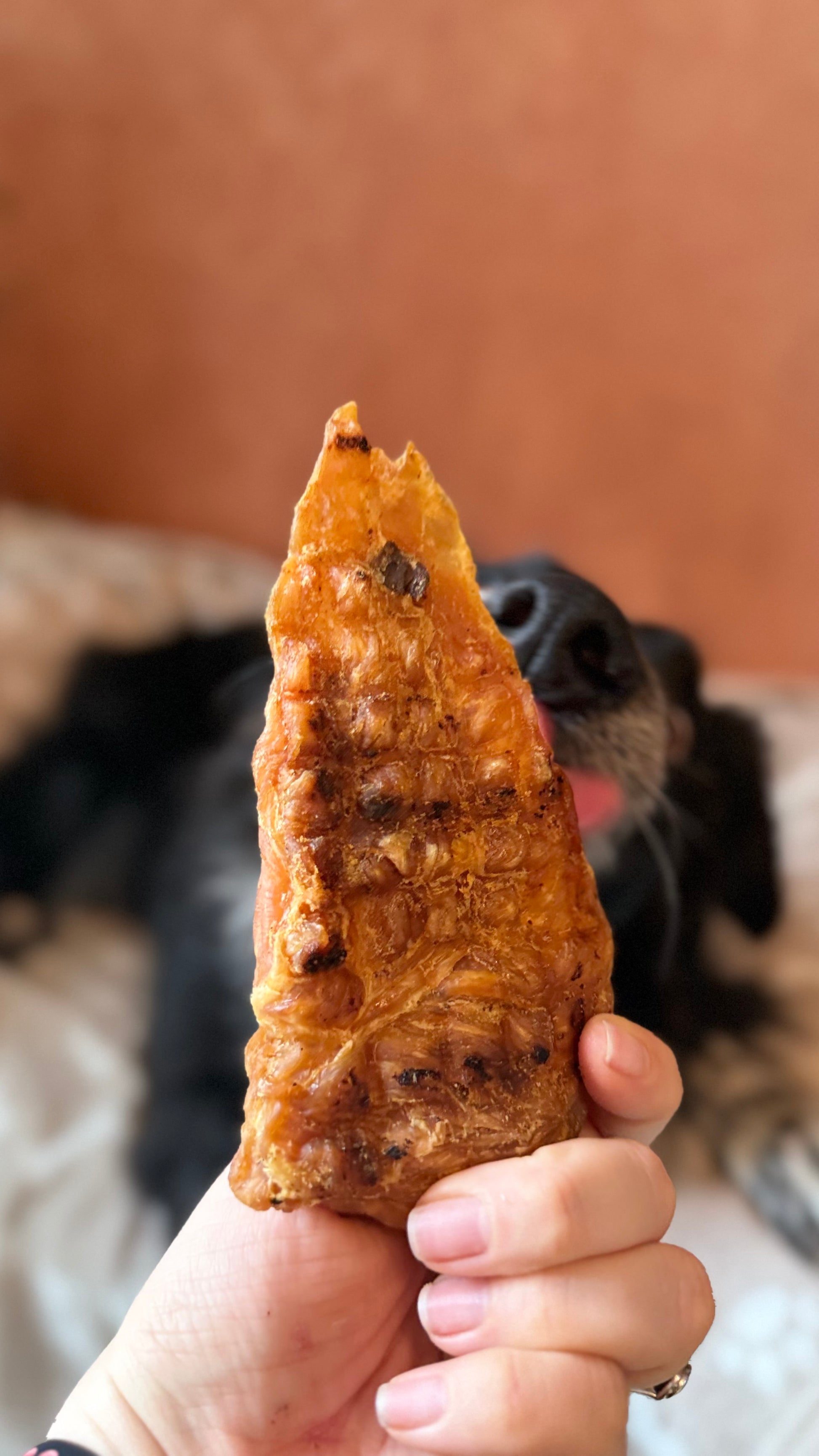 Filet de poulet