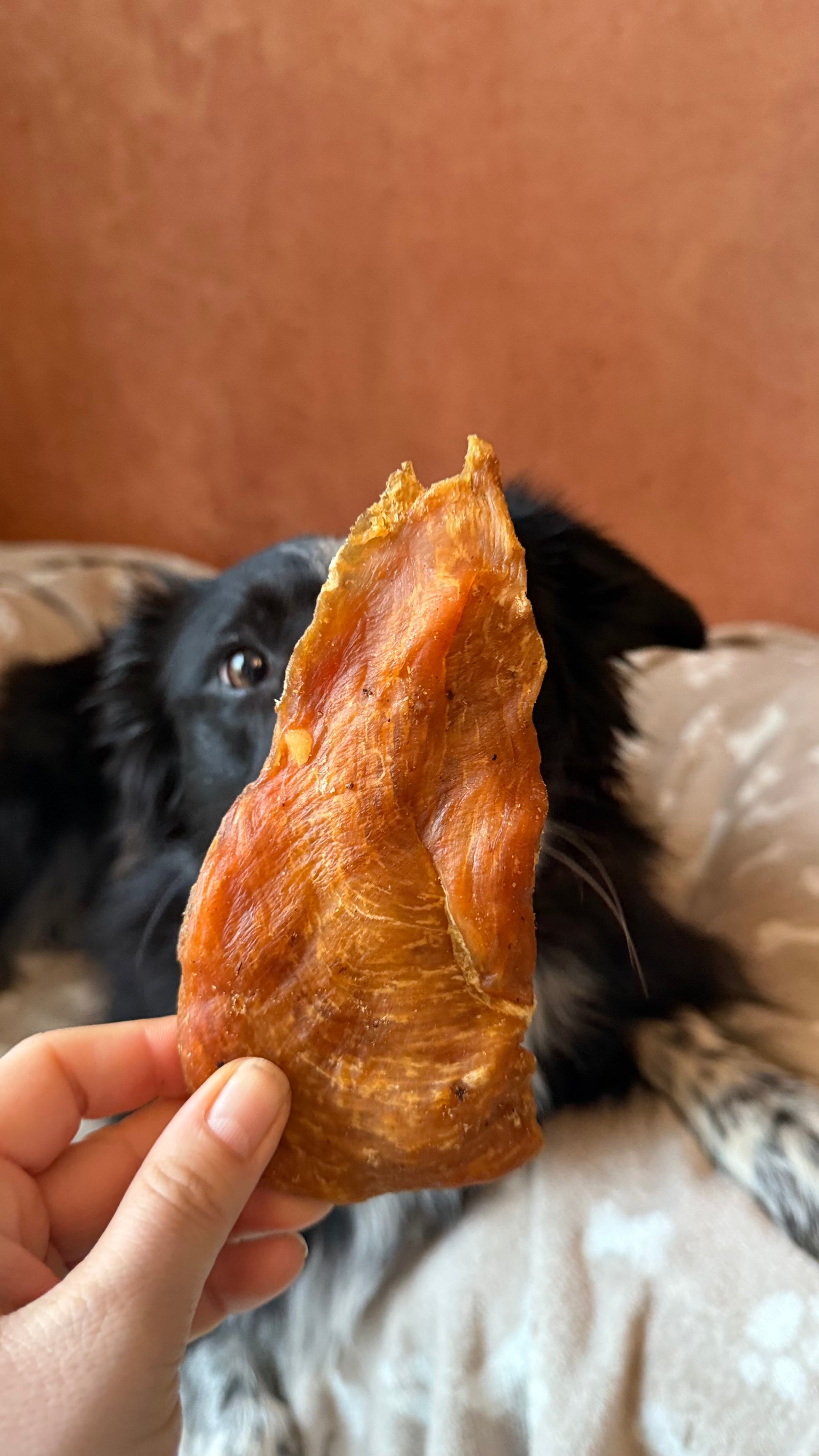 Filet de poulet